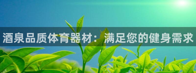 耀世娱乐下载最新版本安装：酒泉品质体育器材：满足您的