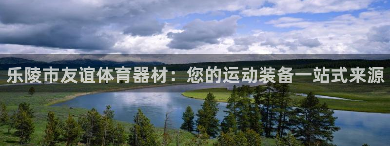 耀世平台易 411031 耀世：乐陵市友谊体育器材：