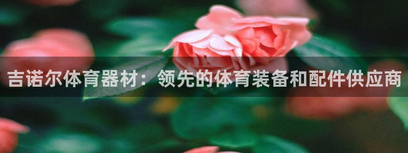 耀世平台下载：吉诺尔体育器材：领先的体育装备和配件供
