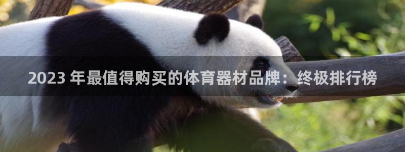 耀世而来是什么意思：2023 年最值得购买的体育器材
