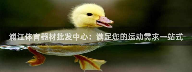 耀世平台主管：浦江体育器材批发中心：满足您的运动需求