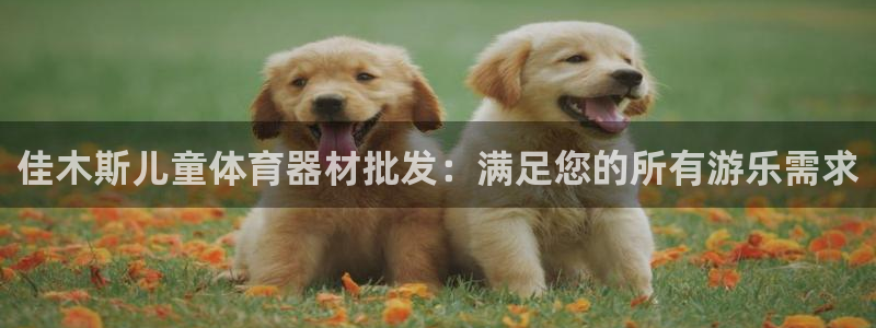 耀世平台注册链接失败：佳木斯儿童体育器材批发：满足您