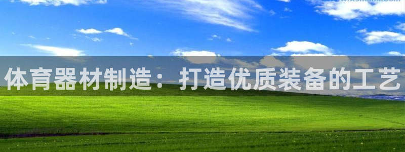 耀世娱乐能不能提现到支付宝：体育器材制造：打造优质装