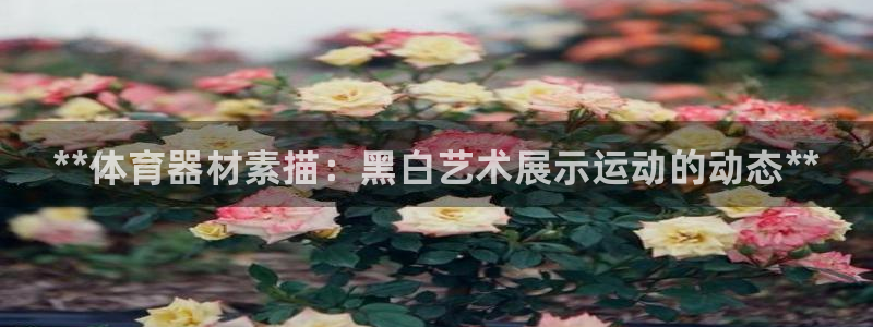 耀世娱乐总代：**体育器材素描：黑白艺术展示运动的动