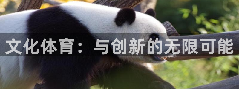 耀世娱乐如何登录平台号