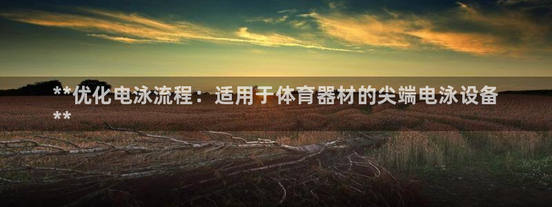 耀世娱乐升 5O6917 娱乐：**优化电泳流程：适用于体育