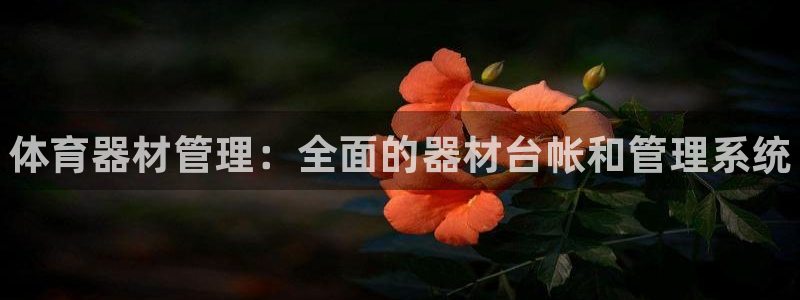 耀世娱乐家 411O31 耀世：体育器材管理：全面的