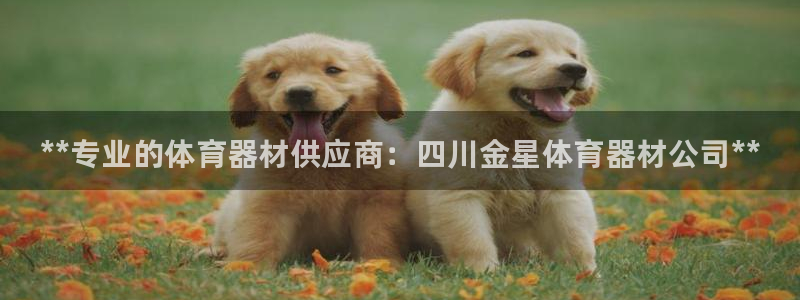 耀世是什么游戏里的人物