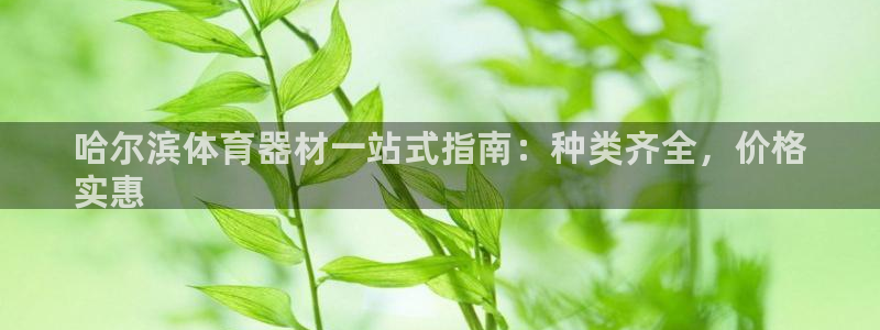 耀世平台代理怎么做