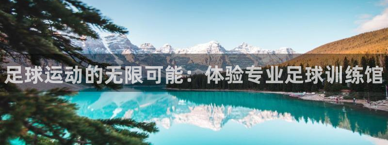 耀世平台最新注册地址：足球运动的无限可能：体验专业足