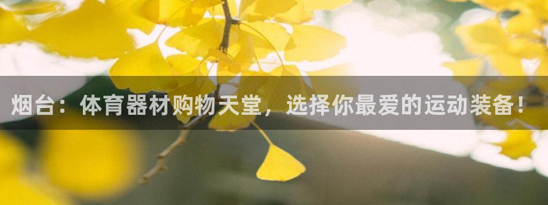 耀世平台注册：烟台：体育器材购物天堂，选择你最爱的运动装备！