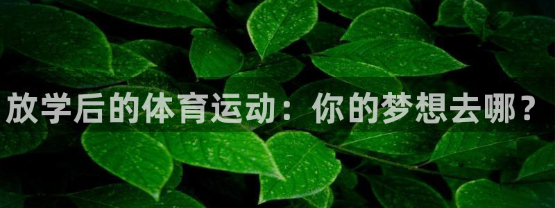 耀世娱乐官方网站入口：放学后的体育运动：你的梦想去哪