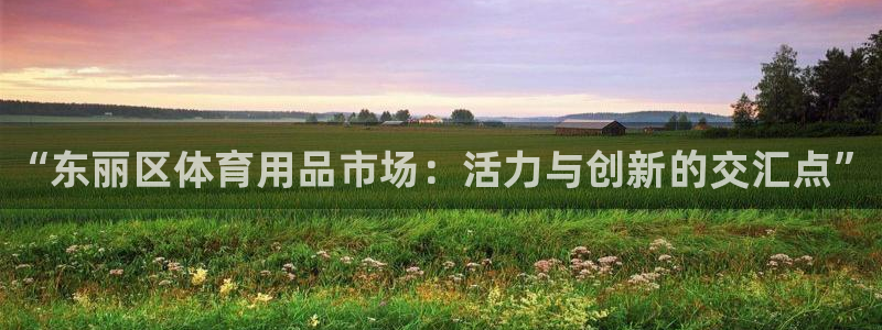 耀世登场之类的广告词：“东丽区体育用品市场：活力与创