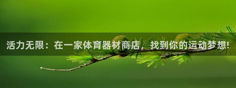 耀世平台的运营模式分析：活力无限：在一家体育器材商店