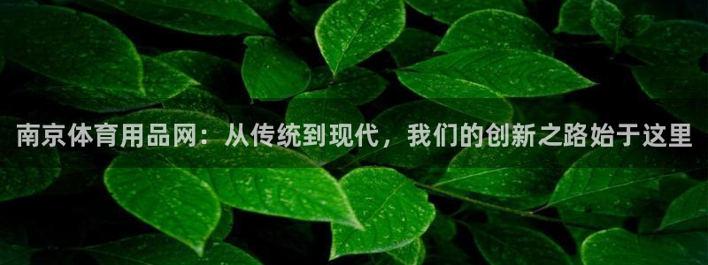 耀世平台拿什么输入账号密码呢：南京体育用品网：从传统到现代，